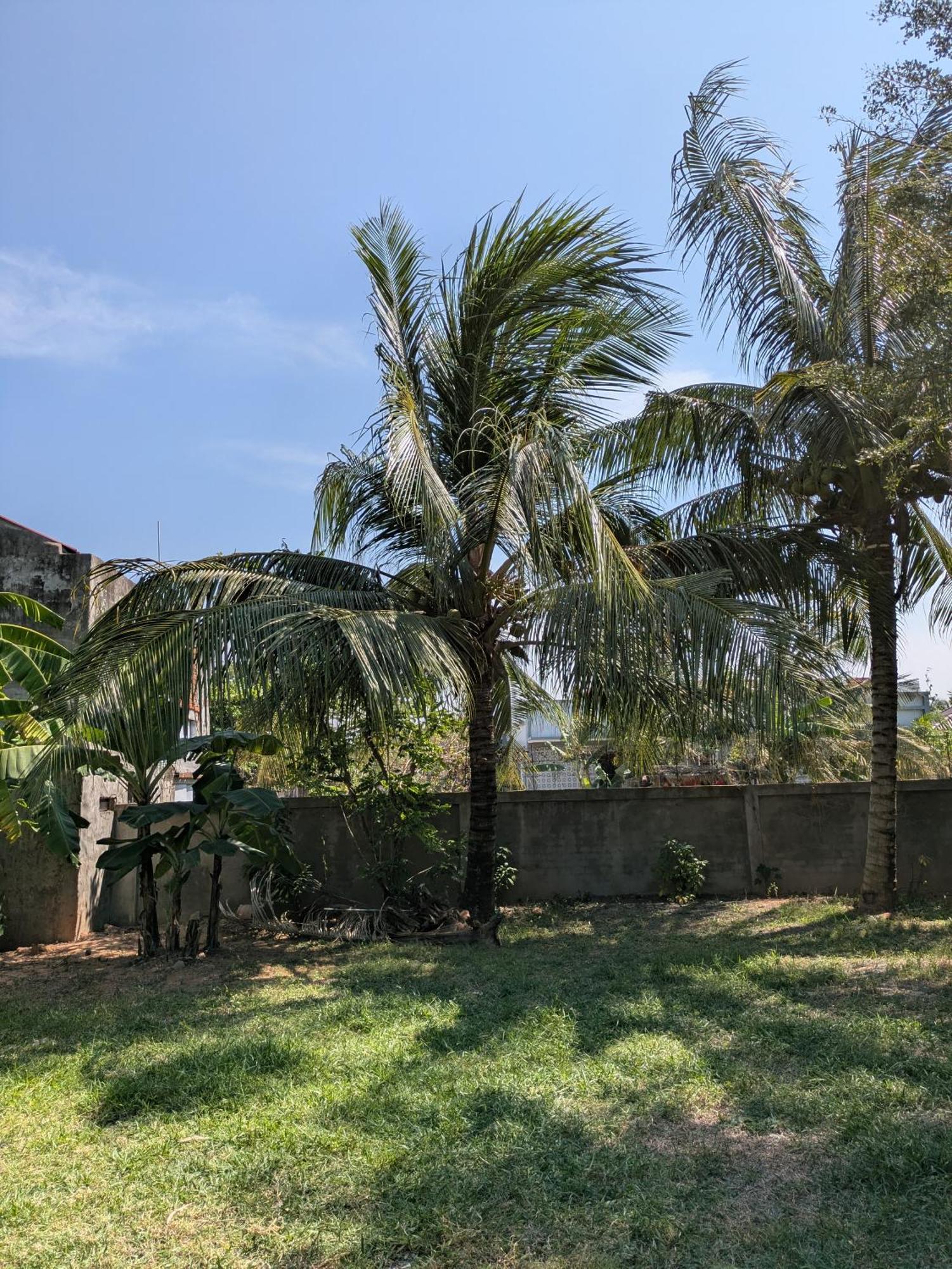 Coconut Lodge Kampot Exterior photo