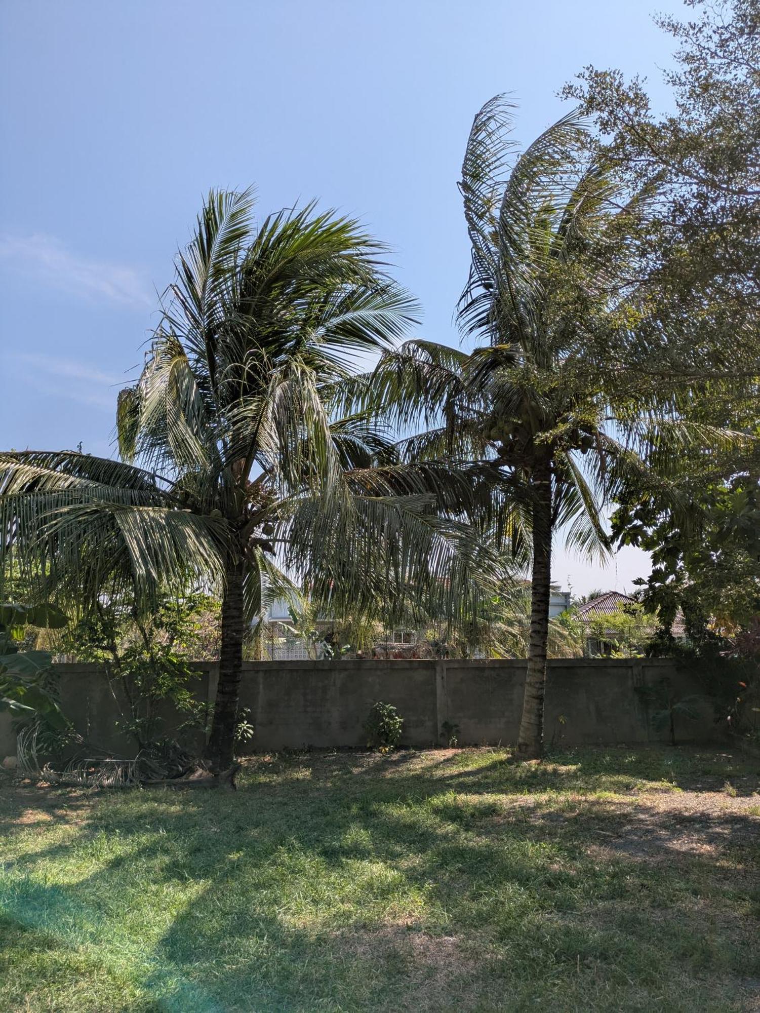 Coconut Lodge Kampot Exterior photo
