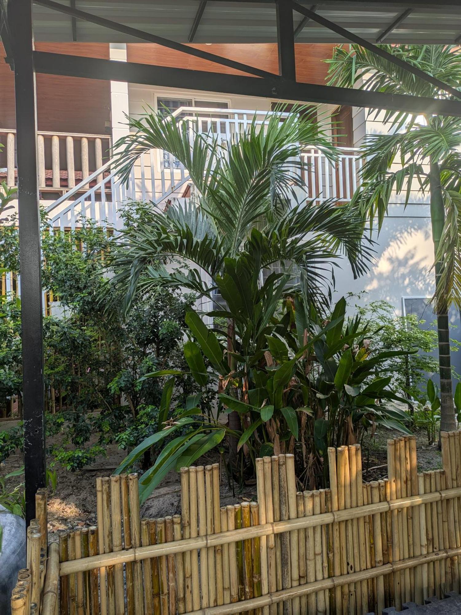 Coconut Lodge Kampot Exterior photo